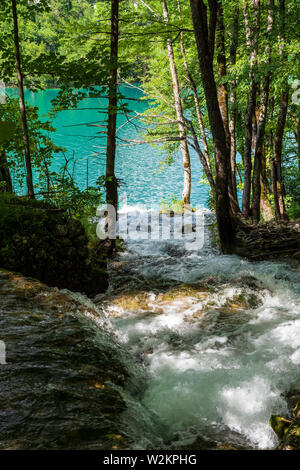 Cascades de l'eau se précipiter en bas de la pente de montagne dans l'eau cristalline du lac de couleur et d'azur à l'Milanovac Le parc national des Lacs de Plitvice, Croatie Banque D'Images