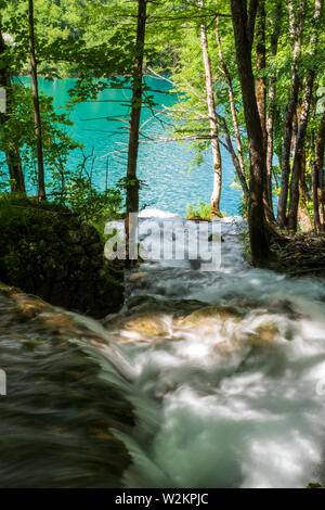 Cascades de l'eau se précipiter en bas de la pente de montagne dans l'eau cristalline du lac de couleur et d'azur à l'Milanovac Le parc national des Lacs de Plitvice, Croatie Banque D'Images