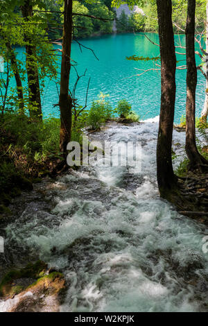 Cascades de l'eau se précipiter en bas de la pente de montagne dans l'eau cristalline du lac de couleur et d'azur à l'Milanovac Le parc national des Lacs de Plitvice, Croatie Banque D'Images