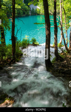 Cascades de l'eau se précipiter en bas de la pente de montagne dans l'eau cristalline du lac de couleur et d'azur à l'Milanovac Le parc national des Lacs de Plitvice, Croatie Banque D'Images