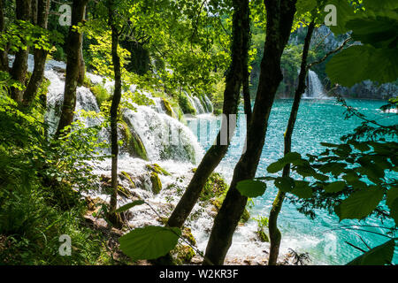 L'eau se précipiter vers le bas des cascades les barrières naturelles dans les eaux claires du lac de couleur et d'azur à l'Milanovac Le parc national des Lacs de Plitvice, Croatie Banque D'Images