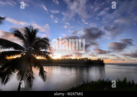 Lever du soleil sur la plage et le lagon de Muri, avec un ciel rose et un palmier qui se profile, Rarotonga, îles Cook, Polynésie Française Banque D'Images