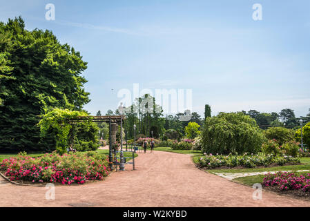 Le Parc de la tête d'or ou le parc de la tête d'Or, un vaste parc urbain, Lyon, France Banque D'Images