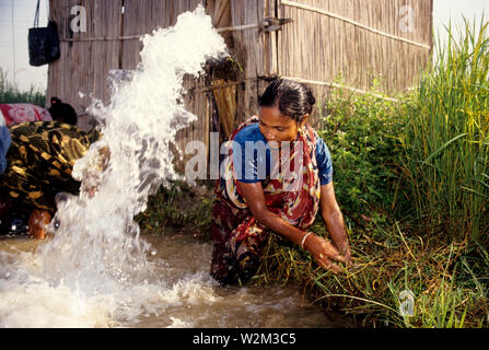 Les membres de la coopérative des femmes dans Shaptagram Pangsha ont collectivement une configuration bien profonds pour l'irrigation. Le Bangladesh Banque D'Images