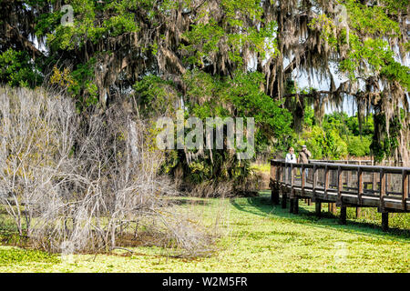 Gainesville, États-Unis - 27 Avril 2018 : dans la région de Paynes Prairie Preserve State Park chemin de randonnée Sentier du bassin hydrographique en Floride marsh boardwalk Banque D'Images