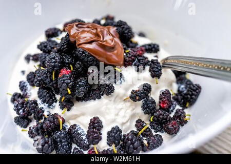 Gros plan macro de crème glacée à la vanille garnie de petits fruits noirs frais mûres et chocolat à tartiner Banque D'Images