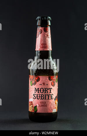 Budapest, Hongrie - Juillet 09, 2019 : bouteille de Lambic Belge Mort Subite Kriek bière cerise studio photo isolé sur fond noir Banque D'Images