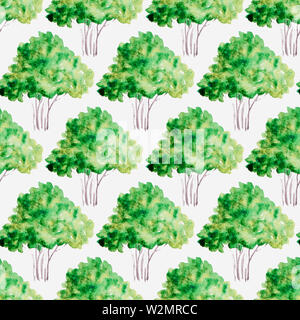 Motif de fond transparent avec aquarelle arbre vert Banque D'Images