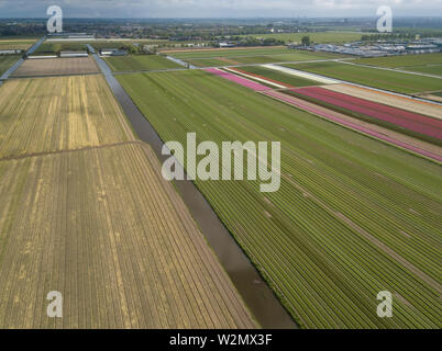 Belle photo de paysage aérien drone de champs agricoles cultivées en Pays-bas pris avec le vol de l'appareil photo au-dessus au printemps.Le nord de l'Hollande rura Banque D'Images