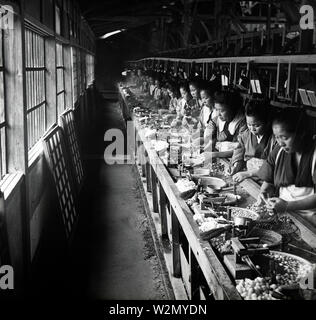 [ 1900 - Japon ] Soie Reeling femmes japonaises - cocons bouillante et remis à une usine de soie de soie. 20e siècle vintage lame de verre. Banque D'Images