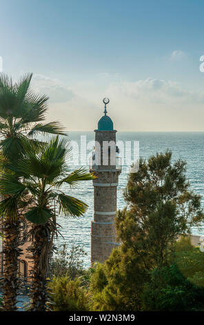 Al-Bahr mosquée en vieille ville de Jaffa, Tel Aviv, Israël Banque D'Images
