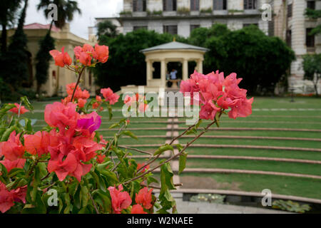 Le Jardin des rêves Katmandou Népal Asie Banque D'Images