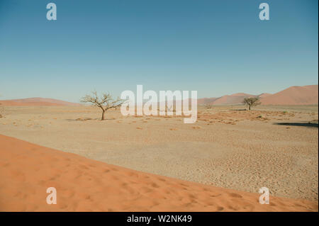 La région aride du terrain dans le marais salant Deadvlei entouré d'immenses dunes de sable rouge. Namib-Naukluft National Park, la Namibie. Banque D'Images