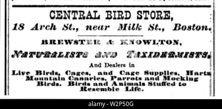 1876 CentralBirdStore BostonAlmanac Banque D'Images