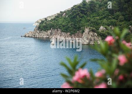 Vue sur mer méditerranée avec de lauriers roses en fleurs sur le premier plan. Marmaris, Mugla, Turquie. Banque D'Images