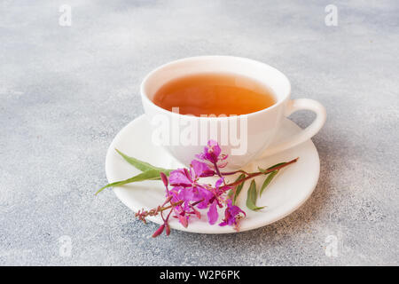 Tisane utile de l'épilobe à feuilles fermentées sur fond gris. Koporye traditionnel russe Ivan thé chai copy space Banque D'Images