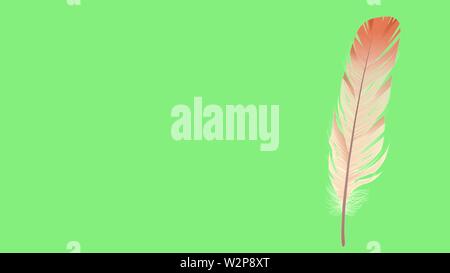 Plumes soyeux doux isolé sur fond avec copie espace pour texte et annonce. Arrière-plan avec des plumes et de la fourrure délicate semble réaliste. Re 3D Banque D'Images