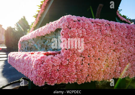 Fleur d'automne montrent à Arad Roumanie Banque D'Images