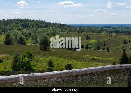 Vue panoramique de la lande en été. Naturel Vert landscpae Arrière-plan. Banque D'Images