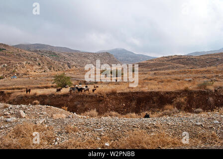 Route étroite à Wadi Bin (Ibn) Hammad (Jordanie), profondément érodé dans les rochers, est doté de façon permanente par les ressorts (chaud). Il mounds dans la mer Morte. Banque D'Images