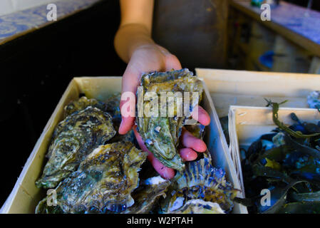 Les moules néerlandais vendus sur la foire de rue Banque D'Images