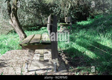 Vue latérale des deux bancs en bois rustique antique dans un jardin verdoyant au printemps Banque D'Images