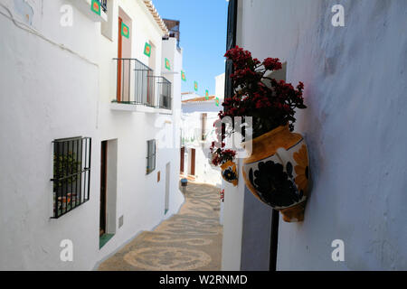 Dans la rue pittoresque et pittoresque de Frigiliana, Province de Malaga, Espagne ; murs blanchis à la chaux avec des pots en argile céramique décorative et de fleurs. Banque D'Images