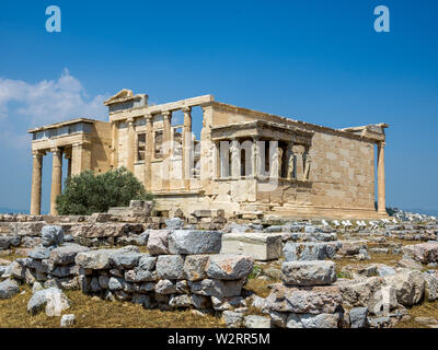 Athènes, Grèce, 9 juillet 2019 - Le sacré 'Arbre de Vie', un vieil olivier se dresse à côté du porche ouest de l'historique Temple Erectheion en Ala Banque D'Images