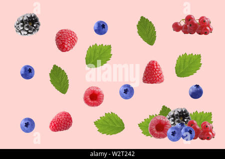 Schéma des fruits. Résumé Contexte de l'alimentation. Composition de bluebarries, feuilles vertes, et de framboise sur fond rose. Banque D'Images