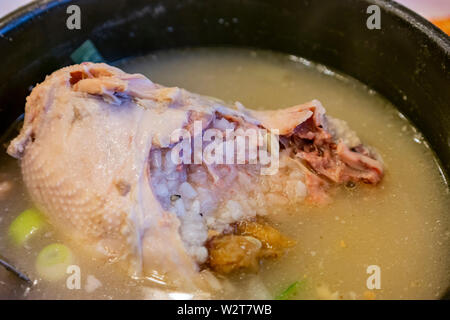 Gros plan du bouillon de poulet, le ginseng a mangé à Busan Banque D'Images