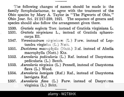 Pour Dasystoma Aureolaria, virginica et flava obtenir la mise sous tension de l'Ohio Journal of Science p93 Volume 22 (1921-1922) Ohio State University Columbus Banque D'Images