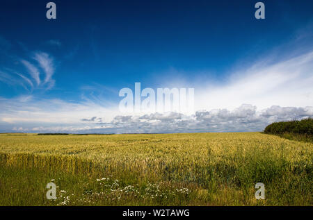 Près de Wheatfield Monknash dans la vallée de Glamorgan au Pays de Galles du Sud Banque D'Images