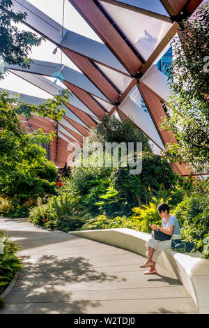 Traverse Place jardin sur le toit offrant une seule femme dans les vêtements d'été assis de détente avec un smartphone à l'installation de Canary Wharf. Un toit de style jardin tropical sur l'Eden Project dans une oasis de calme au-dessus de Traverse City, conçu par Sir Norman Foster. Canary Wharf Londres E14 Banque D'Images