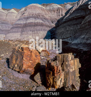 Le bois pétrifié, Blue Mesa, Parc National de la Forêt Pétrifiée, Arizona Banque D'Images