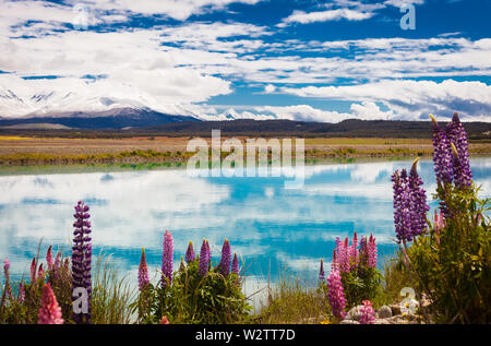 Les canaux d'Hydro Twizel avec Mount Cook au loin. Banque D'Images