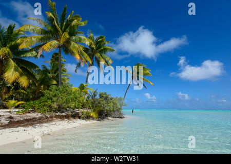 Tourist pataugez dans la lagune de corail turquoise bordée de palmiers d'Aitutaki, Îles Cook, Polynésie Française Banque D'Images