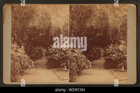 Jardins de Magnolia-sur-le-Ashley, par J UN Palmer Banque D'Images