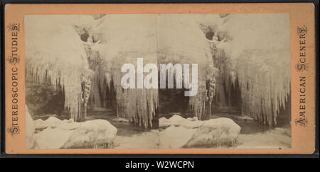 La glace et la neige suspendues à des arbres, à partir de Robert N Dennis collection de vues stéréoscopiques Banque D'Images