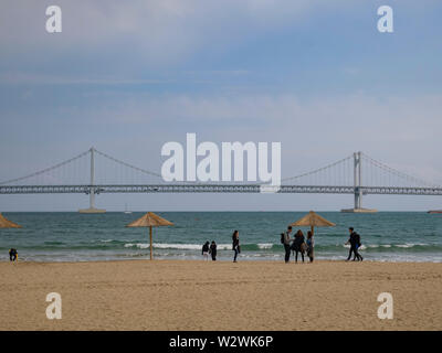 Busan, APR 4 : matin, vue sur le pont et la Guangan Gwangalli Beach on APR 4, 2014 à Busan, Corée du Sud Banque D'Images