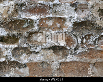 Problème de salpêtre sur un mur en briques anciennes affectées par l'efflorescence Banque D'Images