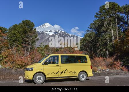 VW-Bus jaune sur la route en face de Lanin volcan couvert de neige et d'Araucaria du Chili (Araucaria araucana), entre San Martin de los Andes et à Pucon Banque D'Images