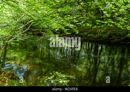 Réflexions sur la rivière Dart Angleterre Devon Dartmoor Banque D'Images