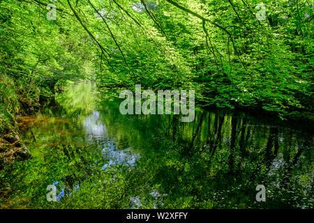 Réflexions sur la rivière Dart Angleterre Devon Dartmoor Banque D'Images