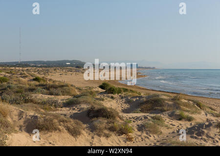 Dunes de sable et de la plage entre Torre La Mata et Guardamar de Segura, Costa Blanca, Espagne Banque D'Images