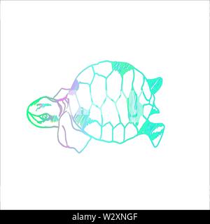 Illustration couleur d'une tortue psychédélique. Idée de tatouage. Illustration de Vecteur