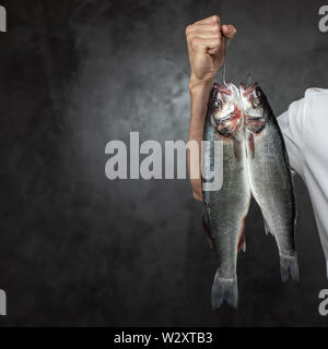 Faceless chef holding fresh poissons crus Banque D'Images