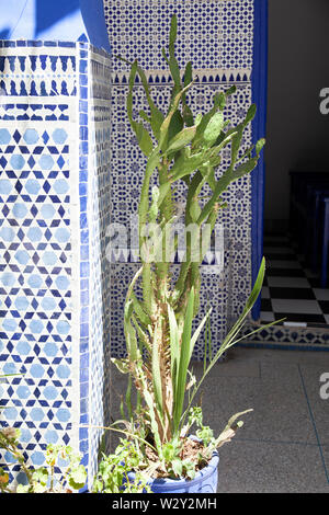 Cour intérieure de synagogue dans le quartier juif historique de Marrakech, Maroc Banque D'Images