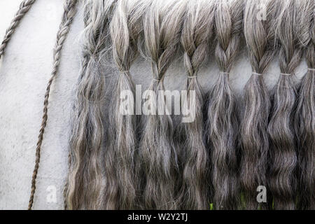 Close up de la crinière d'un cheval tressé Banque D'Images