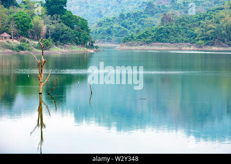 Les arbres meurent dans l'eau et montagne à Wang Bon dam , Thaïlande Nakhon Nayok. Banque D'Images