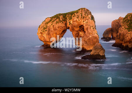 Roche de l'éléphant bizarre de Castro de las gavioatas dans la lumière dorée du coucher du soleil à la côte des Asturies, dans le Nord de l'Espagne Banque D'Images